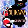 Nijikawa Growth