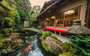 Koi pond builders near me in New York