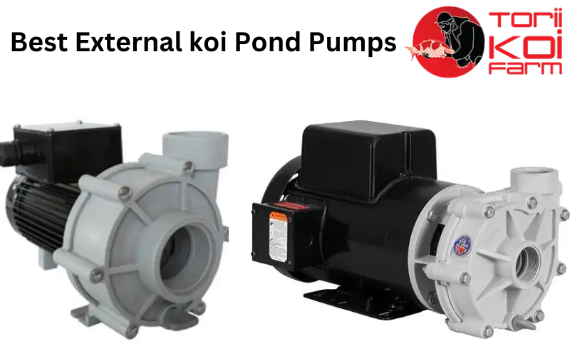 Best External koi Pond Pumps