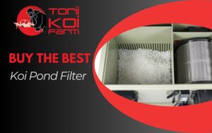 Buy the best koi Pond filter in New York