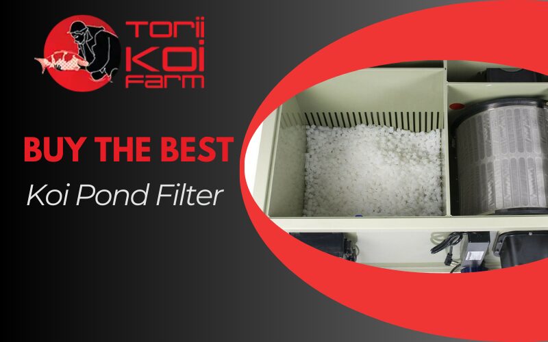 Buy the best koi Pond filter in New York