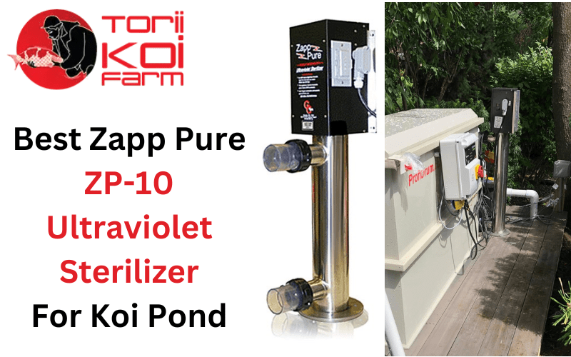 Best UV Sterilizer for Koi Pond min