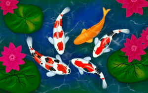 Koi Fish Care Tips For Maximizing Lifespan