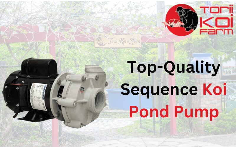 Top Quality Sequence Koi Pond Pump min