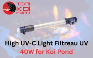 UV Lights for koi ponds